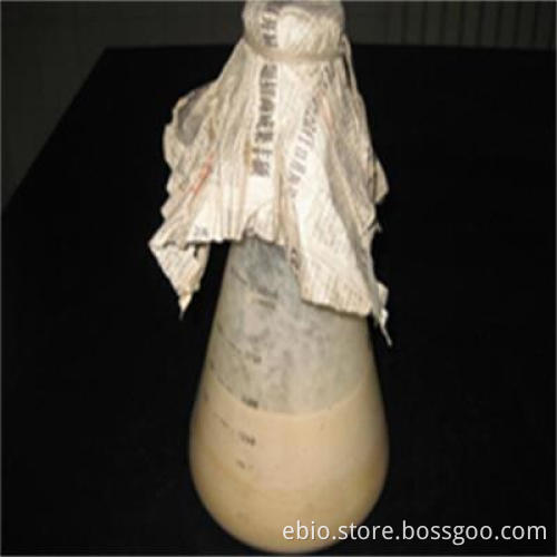 Bio Surfactant